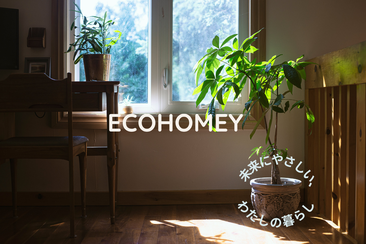 ECOHOMEY-6.png?v=1752603609& ECOHOMEY-6.png?v=1752603609&